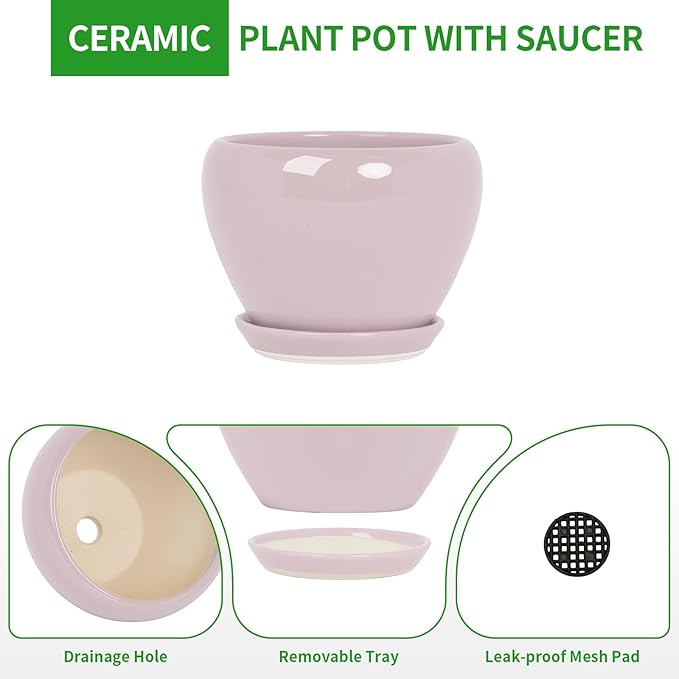 Deep Dream 6 Inch Plant Pots- Ceramic Planter Pot with Drainage Hole and Saucer, Round Flower Pot for Indoor Outdoor Succulent, Snake Plants and Cactus, Pink