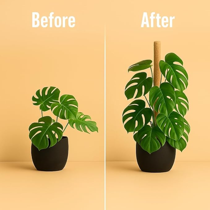 Moss Pole Monstera Plant Support – 48” Bendable Moss Pole Monstera Plant Support, Plant Stakes for Indoor Plants, Tall Plant Sticks Support for Climbing Plants