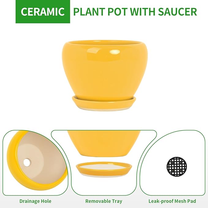 Deep Dream 8 Inch Plant Pots- Ceramic Pots for Plants with Drainage Hole and Saucer, Large Planter Pot for Indoor Plants Outdoor Decor, Yellow