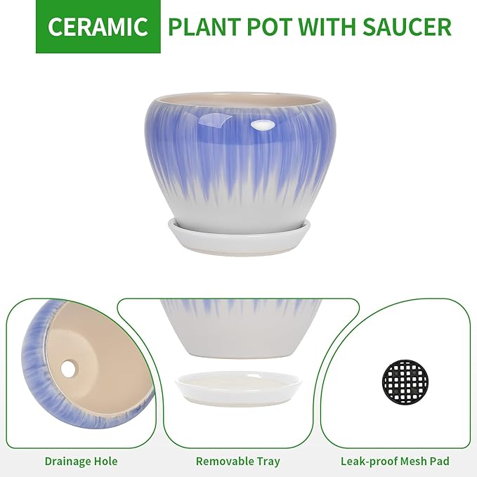 Deep Dream 10 Inch Plant Pot- Ceramic Planter Pot Round Plant Pots for Indoor Plants Outdoor Large Flower Pot with Drainage Holes & Trays, White&Blue