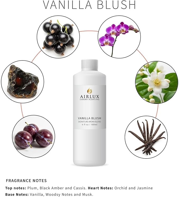 Signature Aroma Oil No. 214 Vanilla Blush – Plum, Black Amber, Cassis – Aroma Oil for Cold Air & Waterless Diffusers and DIY Crafts – 180 mL, 6.1 fl oz Eco Refill Bottle