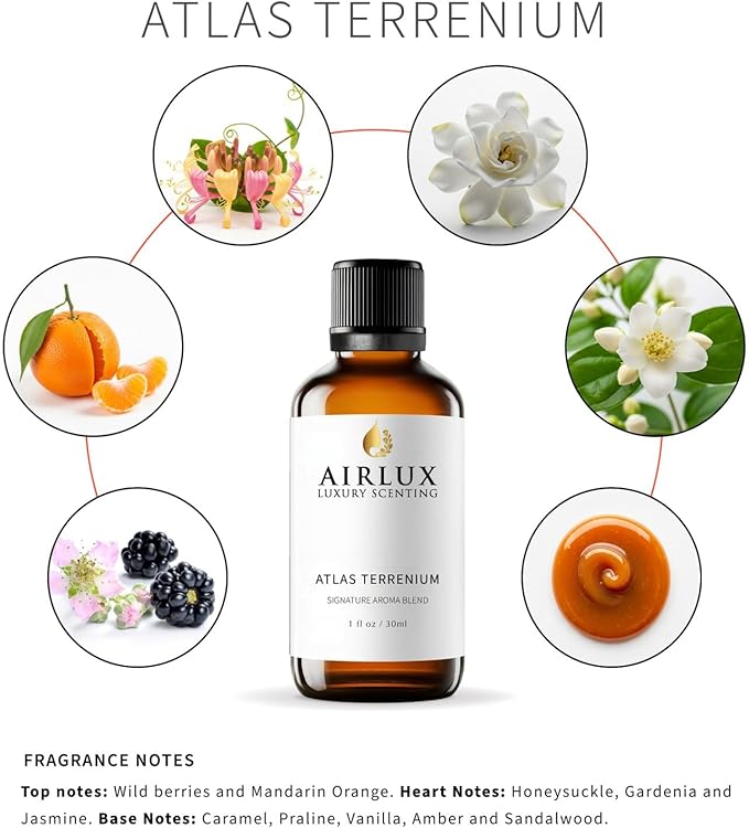 Signature Aroma Oil No. 223 Atlas Terrenium – Cardamom, Iris, Black Pepper – Aroma Oil for Cold Air & Waterless Diffusers and DIY Crafts – 30 mL, 1.0 fl oz Glass Bottle