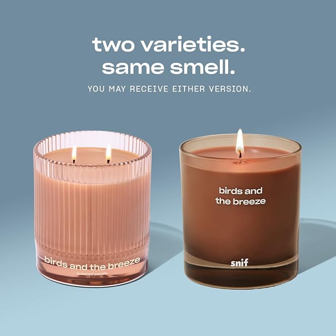 Birds and The Breeze Luxury Scented Candle by Snif, Light and Airy Scent, 50+ Hours, 100% Cotton Fiber Wicks, Soy Wax Blend, Non-Toxic, Vegan, 8.5 oz…