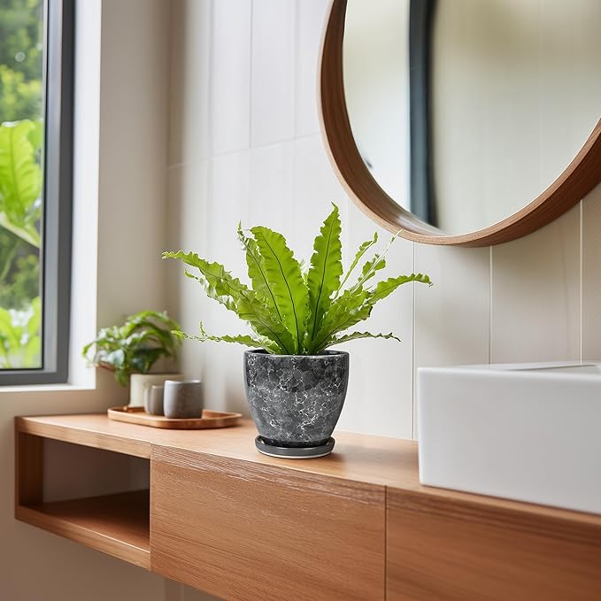 Ceramic Pots for Plants - 6 Inch Ceramic Planter with Drainage Hole and Saucer, Modern Planters for Indoor Outdoor Plants, Round Planter, Home Garden Decor, Plant Lover Gifts, Grey