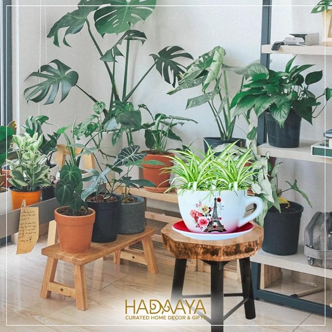 7.5" Ceramic Teacup Planter Pot with Saucer | Ideal for Succulents, Orchids, Herbs & Flowers | Indoor & Outdoor Use for Wedding & Home Decor & More - RED - Paris Eiffel Tower