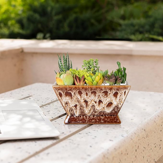 ARTKETTY Succulent Pots - 7 Inch Large Plant Pot with Drainage, Shallow Bonsai Pots Ceramic Succulent Planters for Indoor Outdoor Plants, Modern Cactus Pot Decorative Home Office