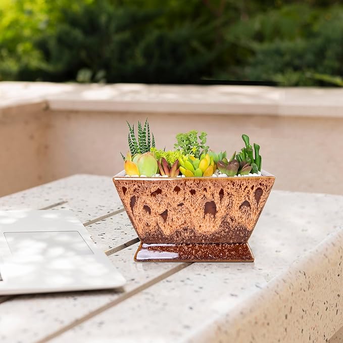 ARTKETTY Succulent Pots - 7 Inch Large Plant Pot with Drainage, Shallow Ceramic Bonsai Pots Succulent Planters for Indoor Outdoor Plants, Modern Cactus Planter Decorative Home Office