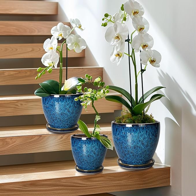 Ceramic Plant Pot, 6.3 Inch Ceramic Planter Pot with Drainage Hole and Saucer, Succulent Round Flower Pot for Indoor Plants Outdoor, Blue