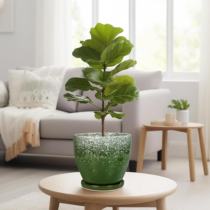 Ceramic Pots for Plants - 8 Inch Planter for Indoor Outdoor Plants, Round Planter, Large Flower Pot with Drainage and Saucer, Home Room Garden Office Decor, Birthday Gifts, Green