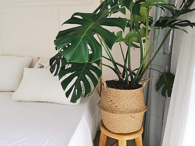 DOKOT Seagrass Plant Basket with Handles, Wicker Woven Storage Basket (8.3inch Diameter x 9inch Height), Natural