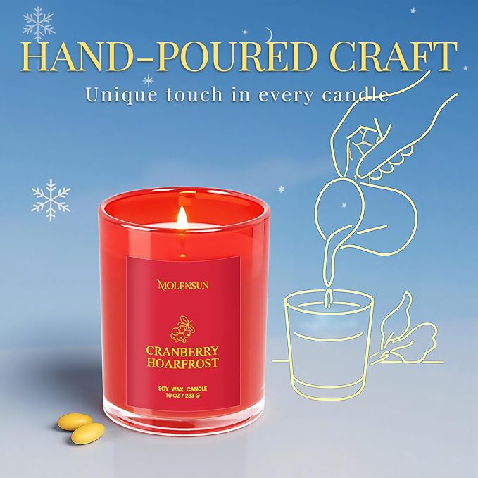 Cranberry Hoarfrost Candle, 10oz Soy Scented Candle for Home, Christmas Birthday & Holiday Gifts for Women & Men, Long Lasting 50+ Hour Clean Non-Toxic Burn, Elegant Winter & Christmas Home Decor
