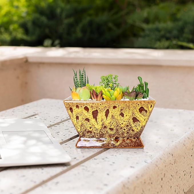 ARTKETTY Succulent Pots - 7 Inch Large Plant Pot with Drainage, Shallow Bonsai Pots Ceramic Succulent Planters for Indoor Outdoor Plants, Modern Cactus Pot Decorative Home Office
