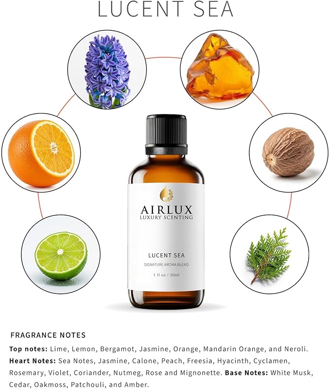 Signature Aroma Oil No. 4 Lucent Sea – Aroma Oil for Cold Air & Waterless Diffusers and DIY Crafts – 30 mL, 1.0 fl oz Glass Bottle