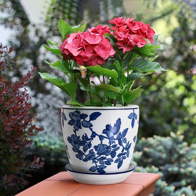 8 inch Ceramic Flower Pots, Chinoiserie Decor Ceramic Planter Plant Pots for Indoor Plants with Drainage and Saucer, Blue and White