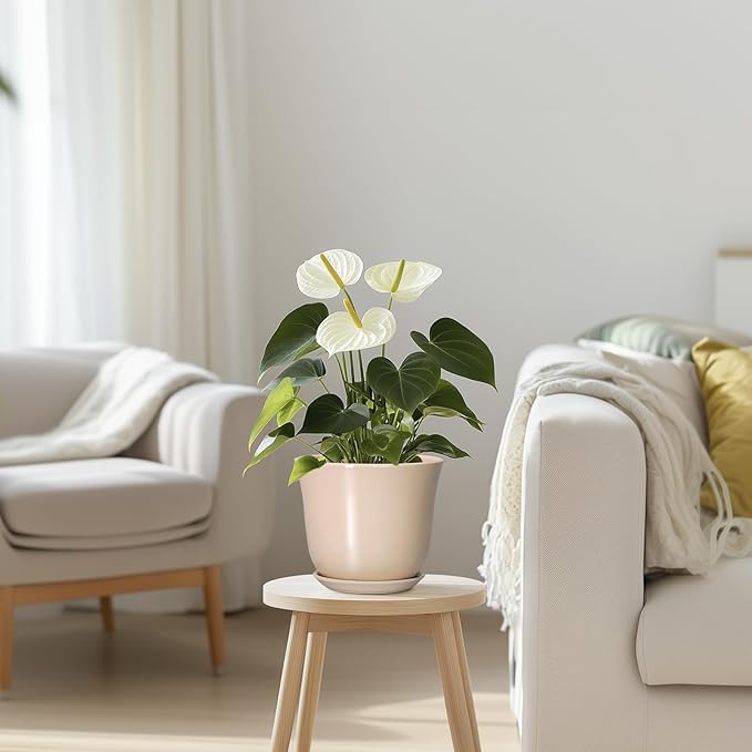 Ceramic Pots for Plants - 5.6 Inch Plant Pot with Drainage Hole and Saucer, Round Orchid Succulent Pots for Indoor Outdoor, Modern Small Planter, Home Office Decor, Gifts for Women, Beige