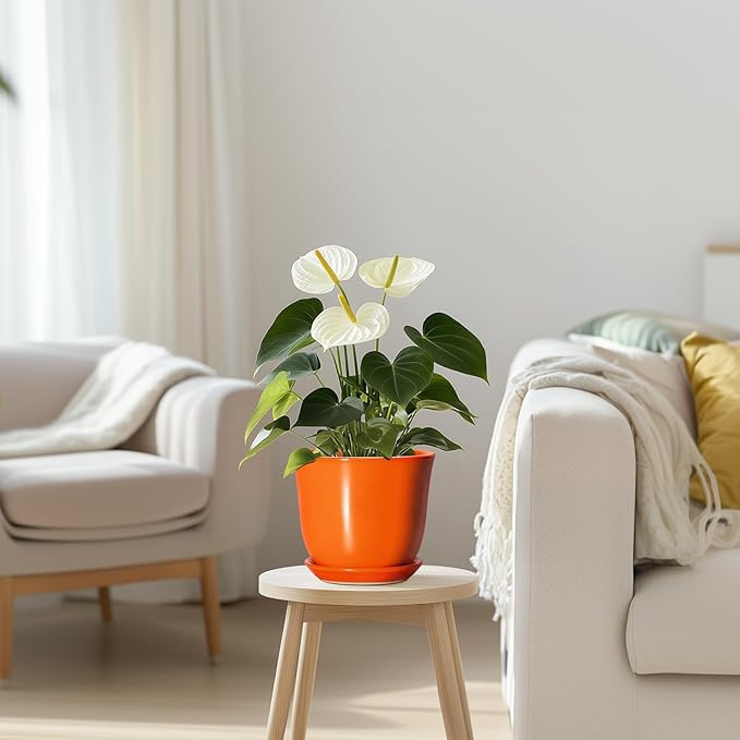 5.6 Inch Plant Pot - Ceramic Pots for Plants Indoor Outdoor, Succulent Pot with Drainage Hole and Saucer, Round Modern Flower Pots, Garden Home Room Decor, Gifts for Plant Lovers, Orange