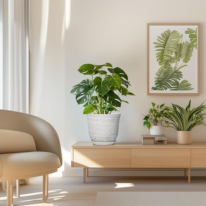 Ceramic Plant Pots - 8 Inch Plant Pot with Drainage Hole and Saucer, Round Flower Pots for Indoor Outdoor, Modern Planter, Decorative Planters, Home Apartment Decor, Gardening Gifts, Grey