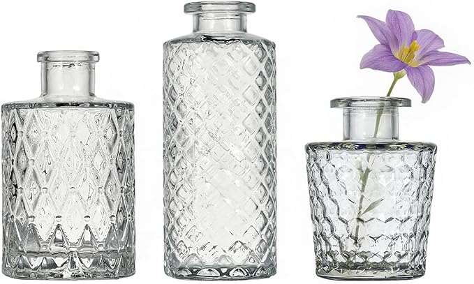 Glass Bud Vase Set of 3 Pcs Small Minimalist Vases for Flowers, Vintage Rustic Home Decor for Table Centerpiece Wedding Party, Modern Clear Aromatherapy Bottle for Living Room Bedroom