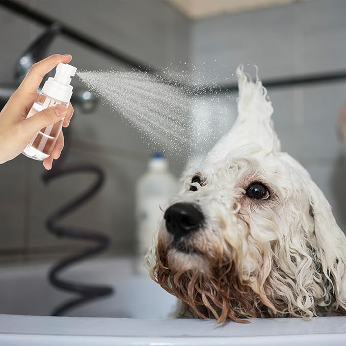 3pack Small Refillable Plastic Spray Bottles, 3.4oz Travel Spray Bottles (Clear+Green+Pink)