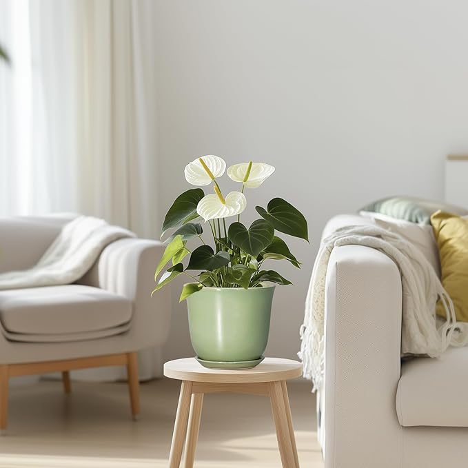 5.6 Inch Plant Pot - Ceramic Pots for Plants Indoor Outdoor, Round Orchid Succulent Pot with Drainage Hole and Saucer, Modern Small Planter, Home Room Window Decor, Plants Lover Gift, Green