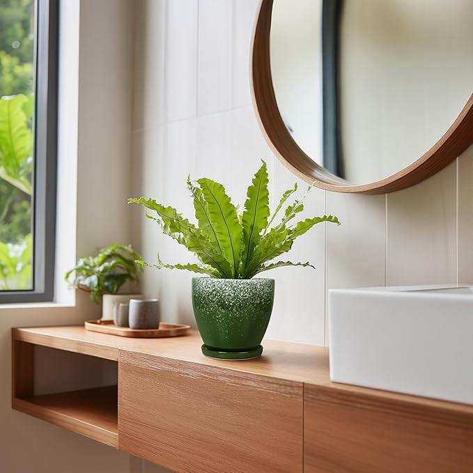 6 Inch Plant Pot - Ceramic Plant Pots with Drainage Hole and Saucer, Ceramic Planter for Indoor Outdoor Plants, Round Modern Planter, Room House Decor, Gifts for Women Men, Green