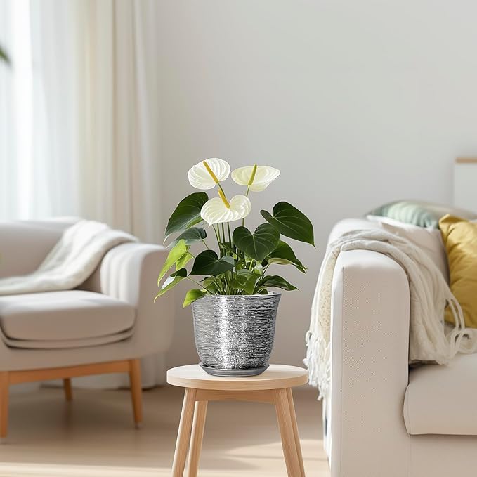 5.6 Inch Plant Pot - Ceramic Pots for Plants Indoor Outdoor, Succulent Orchid Pot with Drainage Hole and Saucer, Round Planter, Small Flower Pots, Room Decor, Gifts for Plant Lovers, Silver