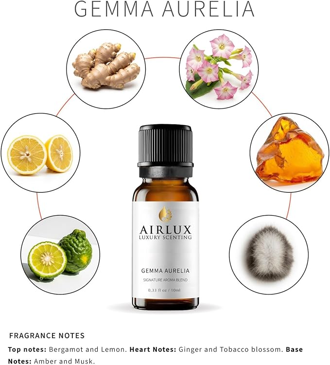 Signature Aroma Oil No. 584 Gemma Aurelia – Aroma Oil for Cold Air & Waterless Diffusers and DIY Crafts – 10 mL, 0.34 fl oz Glass Bottle