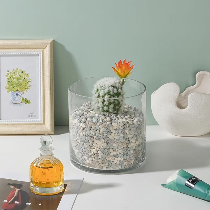 6" Wide 6" Tall Large Hand Blown Sturdy Clear Cylinder Glass Vase, Centerpiece Flower Vase for Rose, Tulip, Boquets, Hurricane Candle Holder (1, 6"x6")