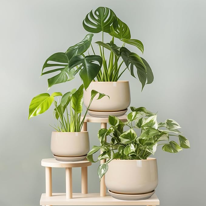 G EPGardening Ceramic Pot for Plants - 6 Inch Planter with Drainage and Ceramic Saucer, Flower Pots for Indoor Plants, Modern Outdoor Planter, Home Decor, Gift for Women Men, Beige