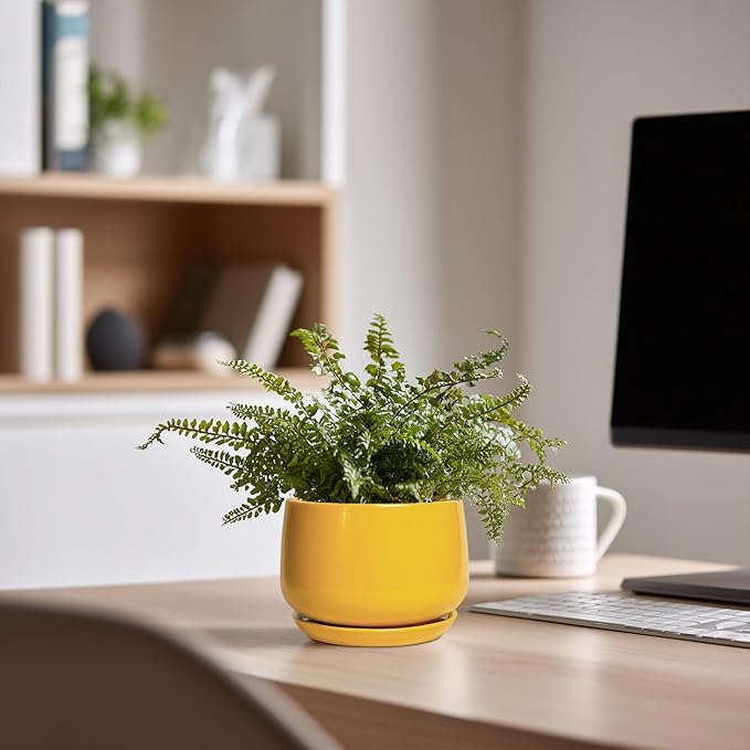 G EPGardening 4 Inch Ceramic Planter - Succulent Pots for Plants Indoor Outdoor, Small Plant Pots with Drainage Hole & Saucer, Round Planter, Modern Flower Pot, Home Decor, Plant Lover Gift, Yellow