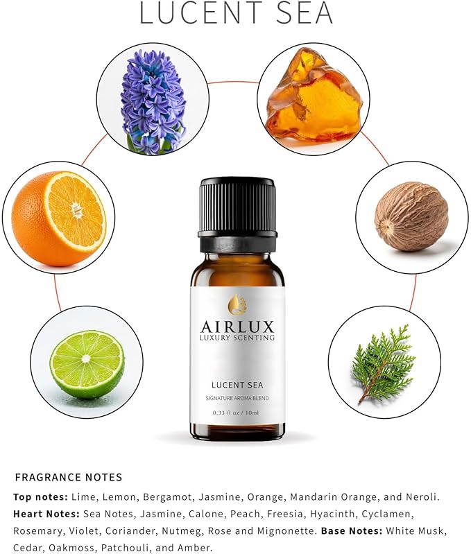 Signature Aroma Oil No. 4 Lucent Sea – Aroma Oil for Cold Air & Waterless Diffusers and DIY Crafts – 10 mL, 0.34 fl oz Glass Bottle