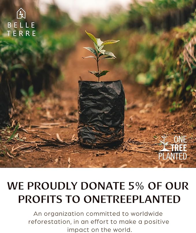 Swedish Dish Cloths for Kitchen - Reusable Dishcloths for Washing Dishes - Each Cellulose Dish Cloth Replaces 15 Rolls of Paper Towels and is More Absorbent Than a Sponge - Dishcloth Set of Six