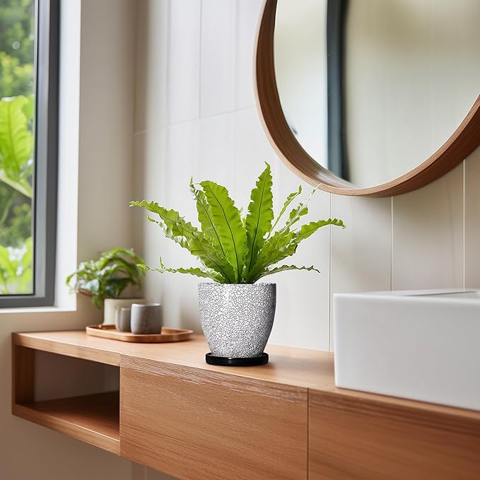 Ceramic Plant Pots - 6 Inch Planters for Indoor Outdoor Plants, Round Plant Pot with Drainage Hole and Saucer, Ceramic Succulent Pots, Desk House Decor, Gardening Gifts for Women, White-Black