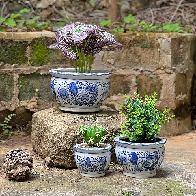 Blue and White Planters, Succulent Pots Ceramic Plant Pots Indoor with Drainage for Home Décor - Set of 3