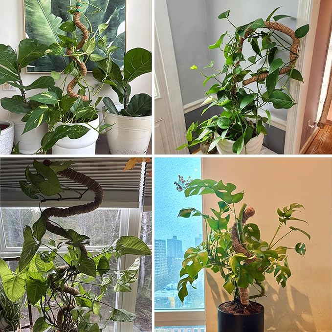 2 Pack Bendable Moss Pole 48" 63" Monstera Plant Support for Climbing Indoor Plants Tall Coir Plant Pole Sticks Support Stakes for Potted Plants, Pothos, Philodendron