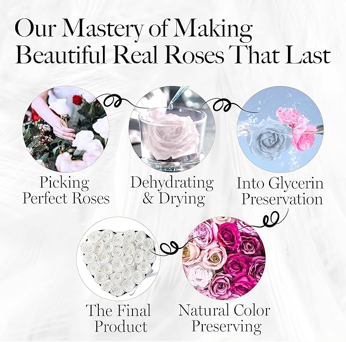 GLAMOUR BOUTIQUE 27 Flower Forever Heart Shape Box - Preserved Roses Gift for Her, Preserved Flowers, White