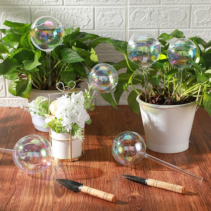 6 Pcs Plant Watering Globes Glass Iridescent Rainbow Self Watering Globes Clear Automatic Plant Watered Bulbs Devices Set Including 16oz 13oz 10oz for Indoor Plants Home Garden Vacation Care