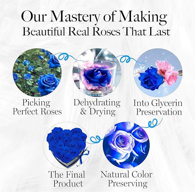 GLAMOUR BOUTIQUE 16 Flower Forever Heart Shape Box - Preserved Roses Gift for Her, Preserved Flowers, Blue
