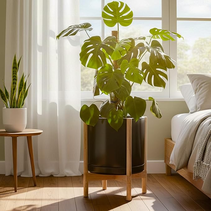 D'vine Dev Ceramic Planter with Natural Stand - 14 Inch Modern Round Flower Pot with Wood Planter Holder, Black, 55-B-R-2