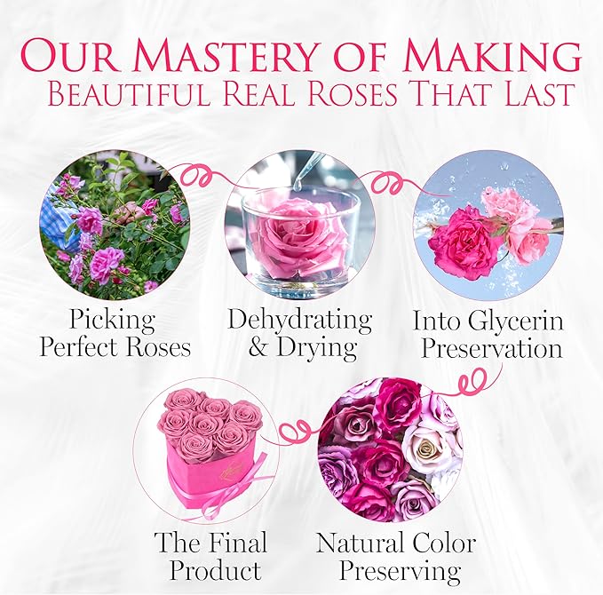 GLAMOUR BOUTIQUE 7 Flower Forever Heart Shape Box - Preserved Roses Gift for Her, Preserved Flowers, Velvet Pink