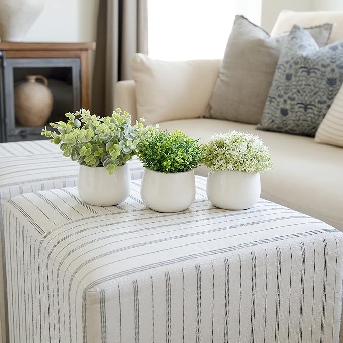 Artificial Plants for Home Decor Indoor. 4 Mini Plants, Rosemary Faux Plant Decor, Eucalyptus Plant, Grass Plants. Small Fake Shelf or Desk Greenery Décor (Ceramic-3)