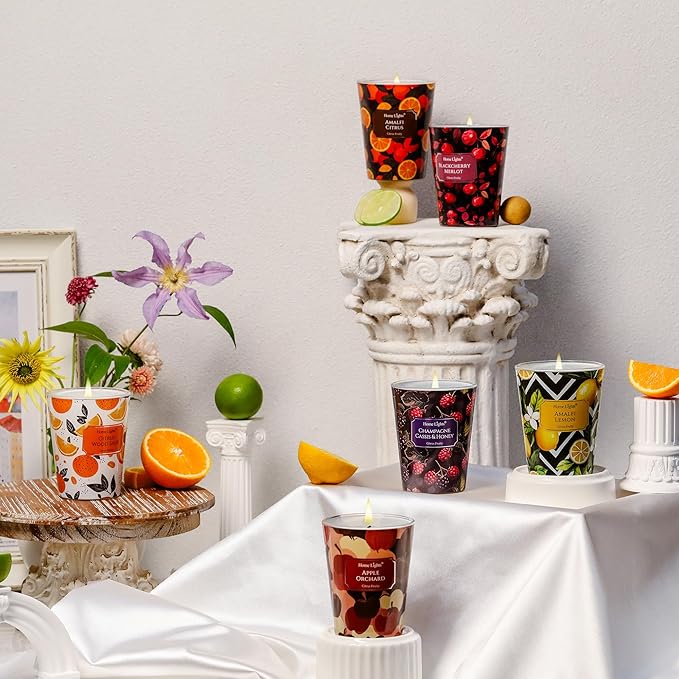 HomeLights Scented Candles for Women & Men, 6.7oz Candle Jars Aromatherapy Single Wick Candle, Ideal for Eclectic Mixed Styles Home Decor and Gifts, Champagne Cassis & Honey