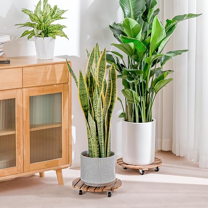 Bamworld Plant Stand Outdoor Rolling Tray Plant Caddy with Wheels 12in Plant Caster with Wheels Planter Caddy Flower Cart Plant Dolly for Heavy Duty Large Plants Plant Rollers (2 Pack )