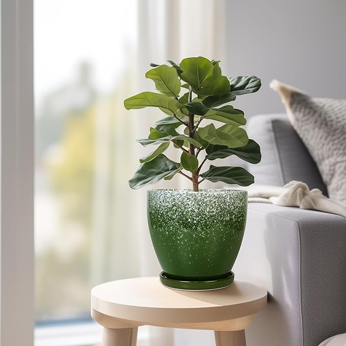 Ceraimc Plant Pot - 6.3 Inch Planter with Drainage and Plant Tray, Round Succulent Planters, Decorative Flower Pot for Indoor, Room Office Patio House Decor, Gifts for Women Men, Green