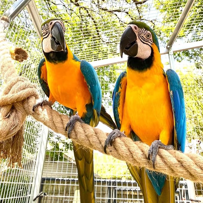 3/4 Inch Natural Jute Rope, 200 Feet Thick Hemp Rope, 4 Strands Twisted Manila for Crafts, Railings, Home Decorating, Indoor/Outdoor Use