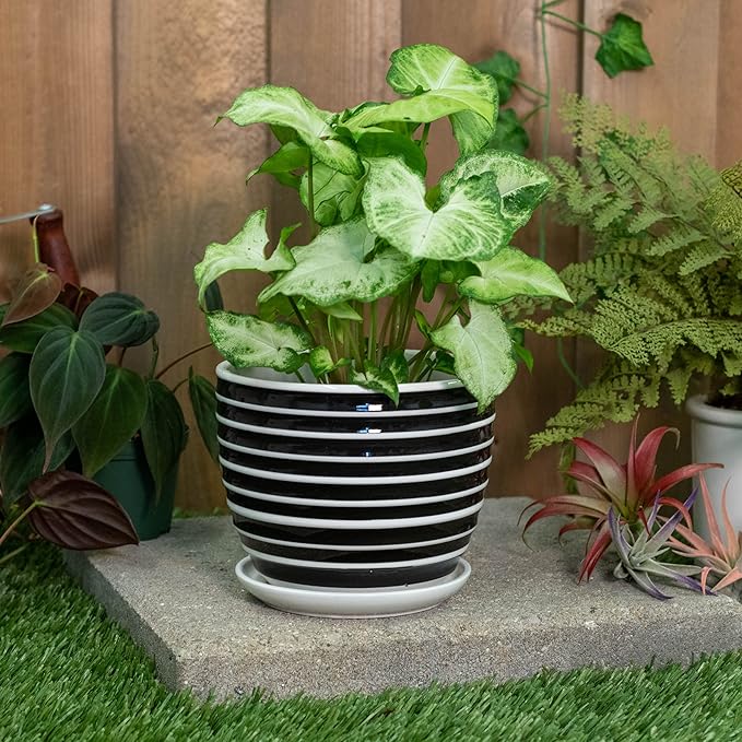 Napco Striped Black and White Ribbed 4 x 5 Inch Ceramic Flower Pot Planter with Saucer