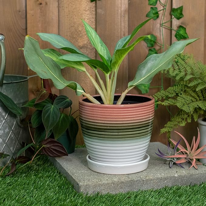 Napco Gradient Red, Brown, and Green 7.25 Inch Ceramic Flower Pot Planter with Saucer