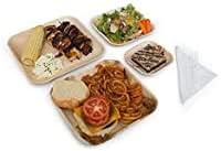 Charity Leaf Disposable Palm Leaf 9" Square Plates (200 pieces) Bamboo Like Serving Platters, Disposable Boards, Eco-Friendly Dinnerware For Weddings, Catering, Events