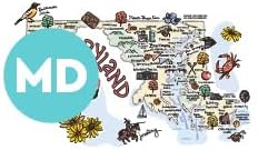 Swig Life 22oz Travel Mug, Insulated Tumbler with Handle and Lid, Travel Coffee Mug, Cup Holder Friendly, Stainless Steel 22 oz Tumbler, Reusable Insulated with Lid (Maryland)