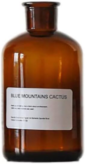 Amber Glass Bud Vase, 1pc Flower Vases Small Vases Decorative Glass Bottles Brown Apothecary Jars Home Decor of Vase, Vintage Mini Floral Vases Centerpiece for Wedding Table Decor (500ml/17oz)